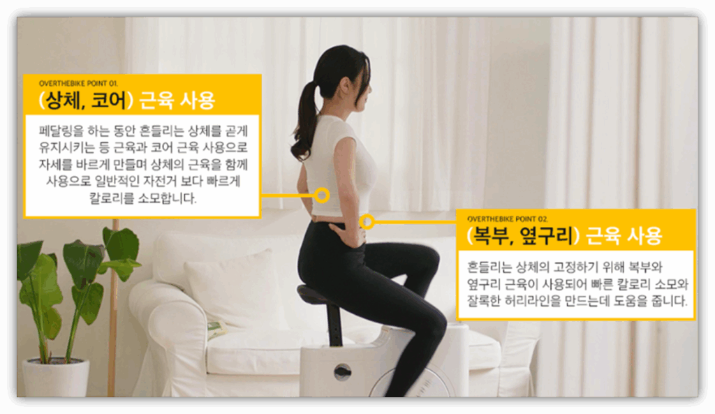 상체 복부 코어 강화