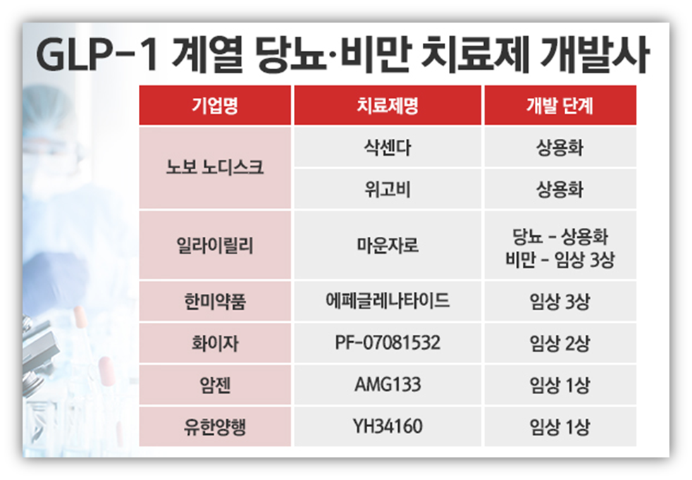 마운자로 식약청 허가 언제쯤 될까??? 한국 출시 예정일 궁금증 해결 완료 다이어트 치료제