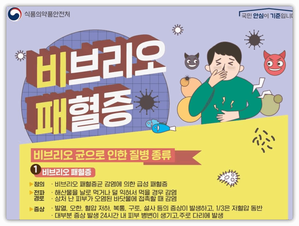 비오는날 회 먹어도 될까?? 날씨와 위생 사이의 진실 비브리오균 이란??