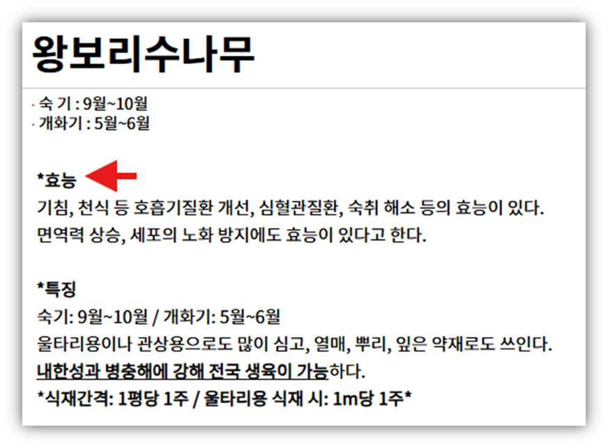 보리수 액기스 주요 효능: