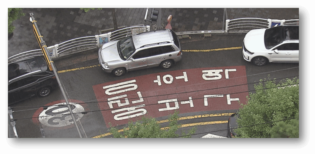 흰색 실선 주차 단속 기준과 과태료