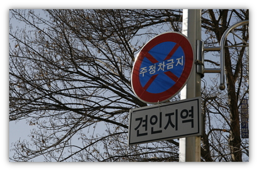 흰색 실선 주차 단속 기준과 과태료