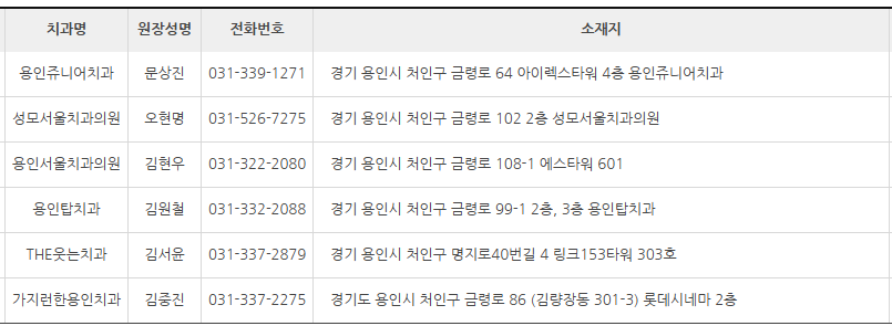 경기도 용인시